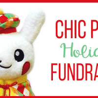 Chic Pixel Holiday Fundraiser