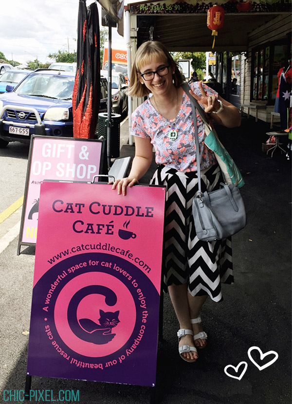 Brisbane Cat Cuddle Cafe review