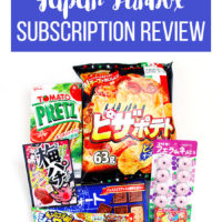 Japan Funbox Subscription Review