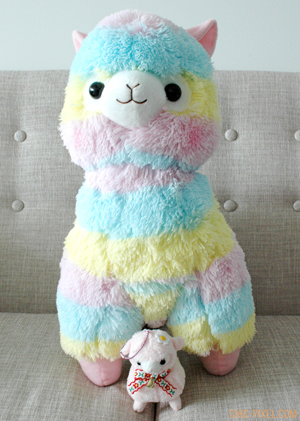 rainbow alpacasso