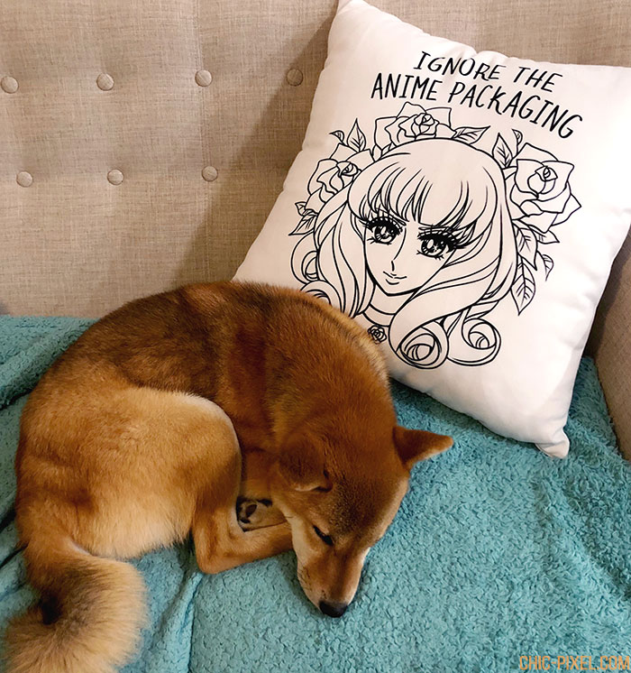 Ignore the Anime Packaging Pillow Shiba Inu